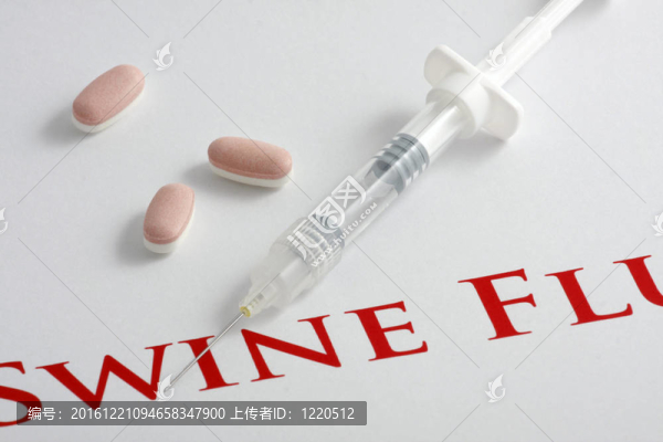 甲型H1N1流感病毒