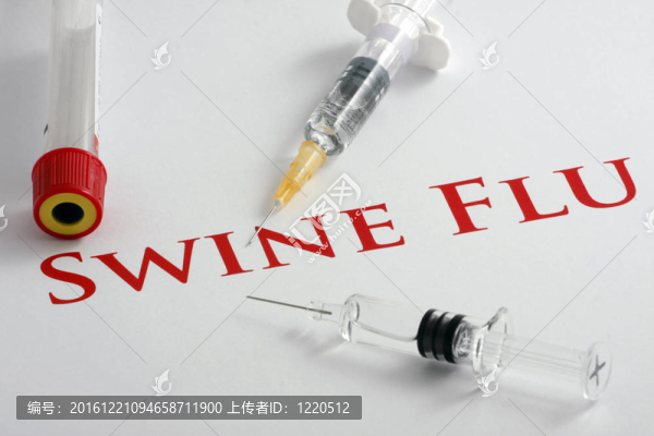 甲型H1N1流感病毒
