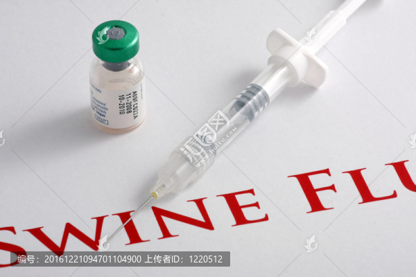 甲型H1N1流感病毒