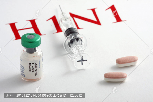 甲型H1N1流感病毒