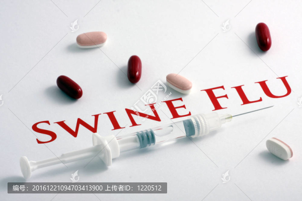 甲型H1N1流感病毒