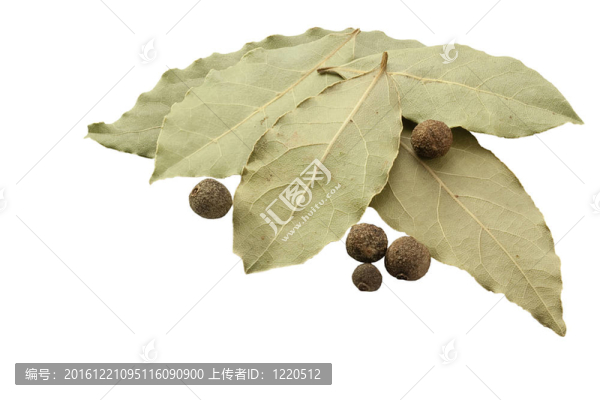 香料