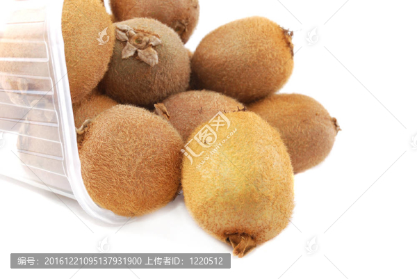 幾維鳥(niǎo)