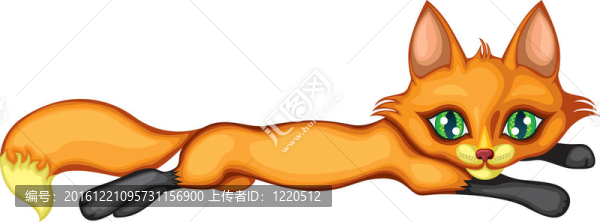 Fox休息