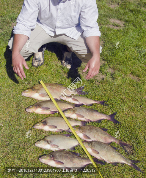 釣鳊魚的漁夫不可估量