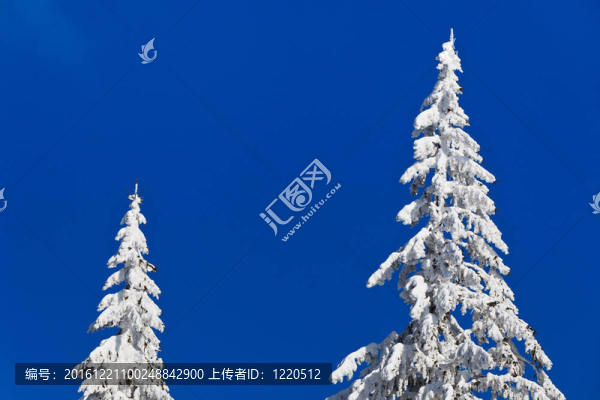 銷雪