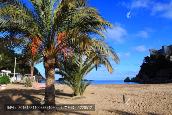 在伊比薩美麗的小海灣；巴利阿里島；西班牙。