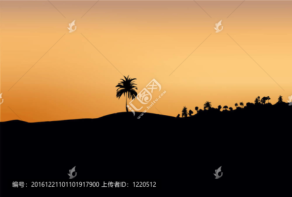 日落時沙子和樹木的黑暗輪廓