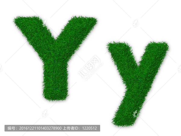 綠色的字母Y