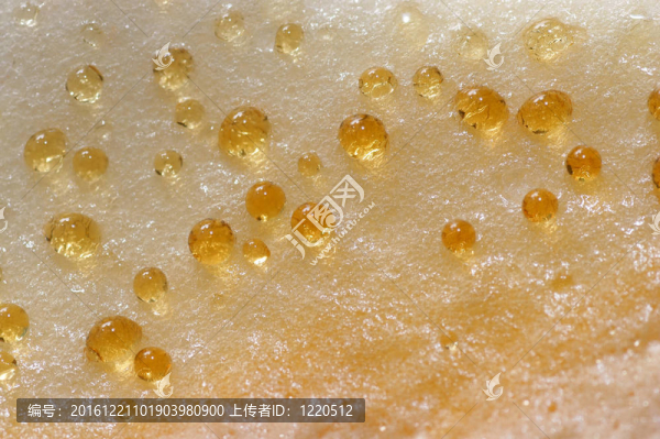 金宏滴芝士蛋糕