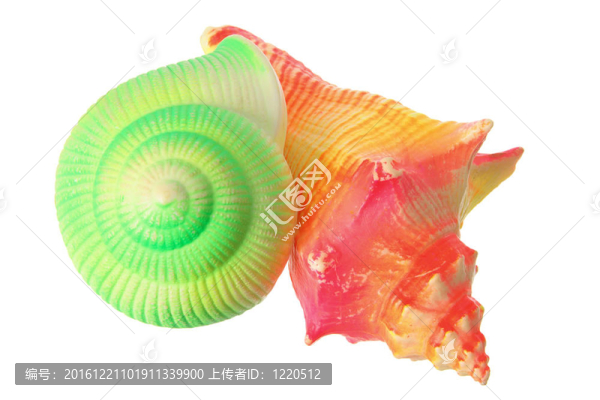 貝殼