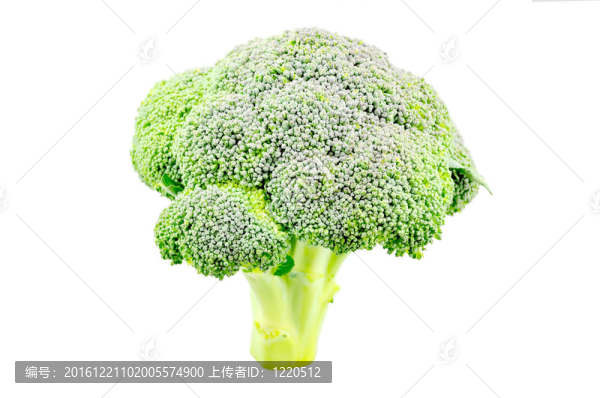 孤立的西蘭花