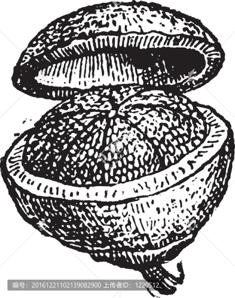 Pyxis（果）復(fù)古雕刻