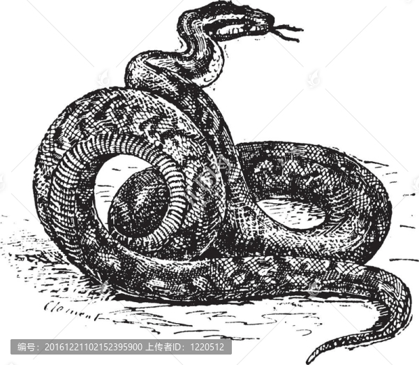 Python的老式雕刻