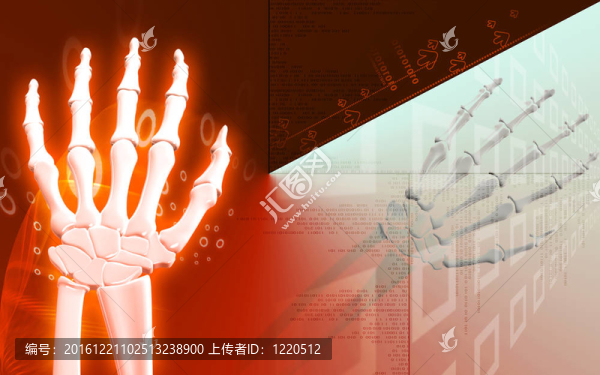 手骨