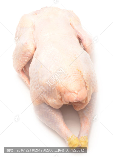 生雞肉