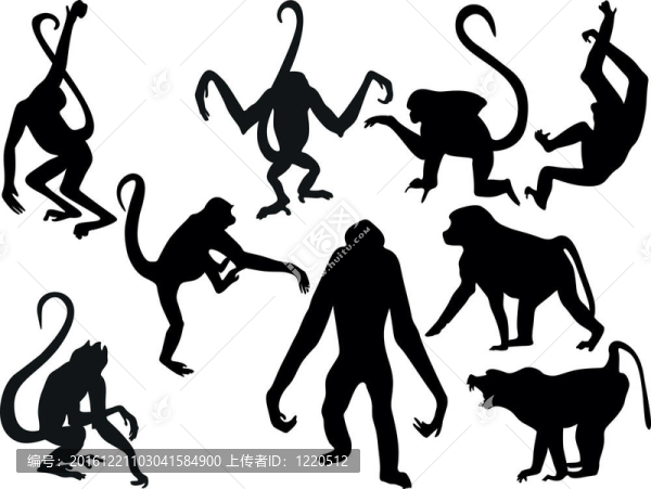 猴子的剪影收集
