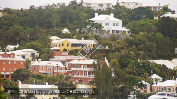 山坡上的熱帶住宅
