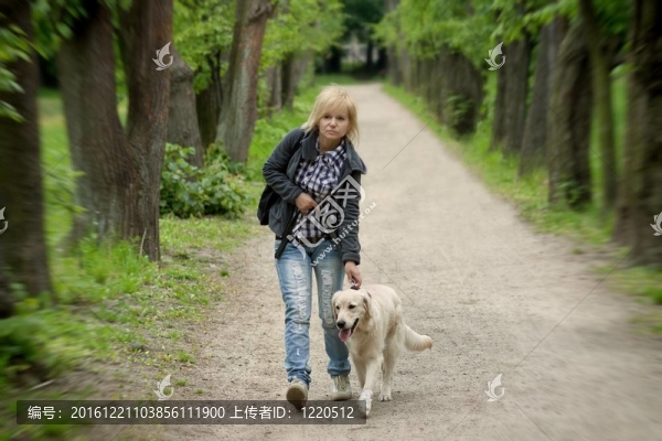 金發(fā)女人的金毛狗在公園里散步