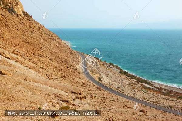 沿海岸如畫的道路