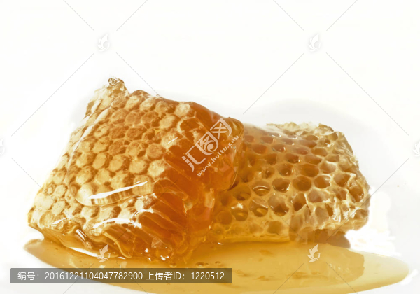 蜂窩