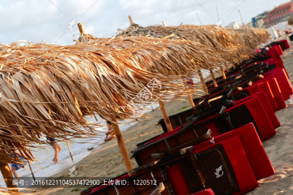 海灘；太陽床；沙灘傘