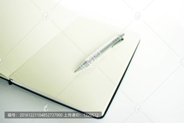 Rubrica和Pen