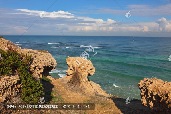 地中海海岸