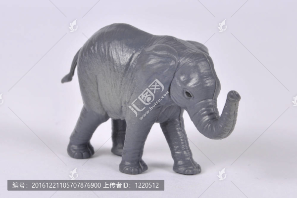 大象