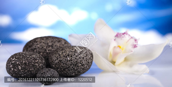 美女