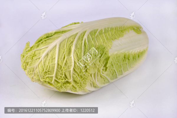 大白菜