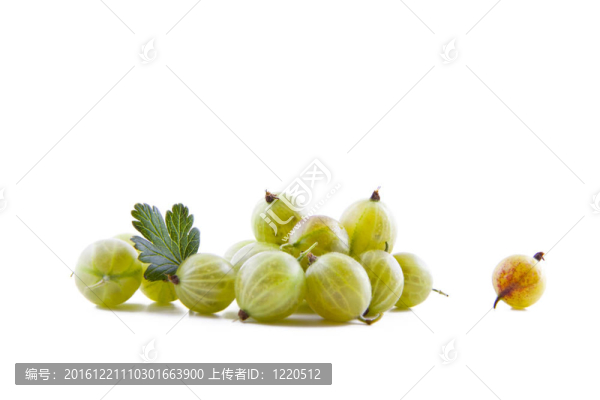 鮮綠色的獼猴桃