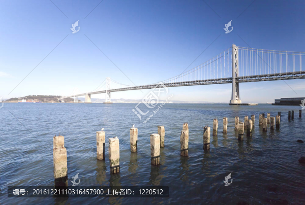 舊金山海灣大橋