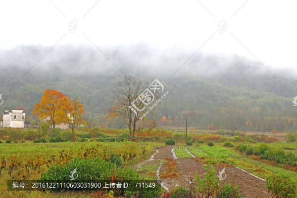 塔川秋色