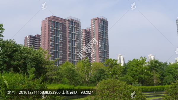 城市公園即景