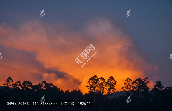 斯里蘭卡風(fēng)光