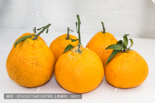 丑橘