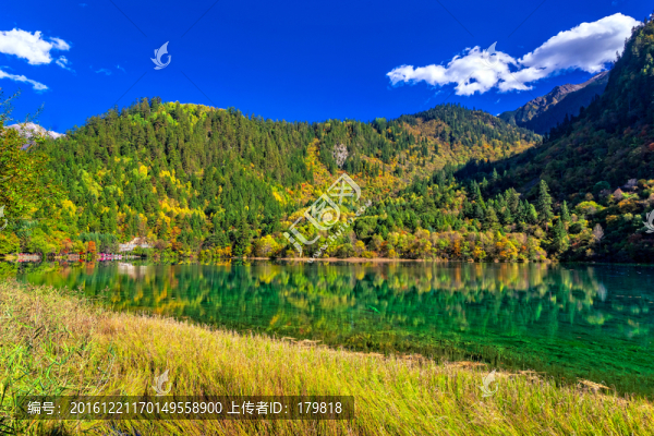 五花海,九寨溝