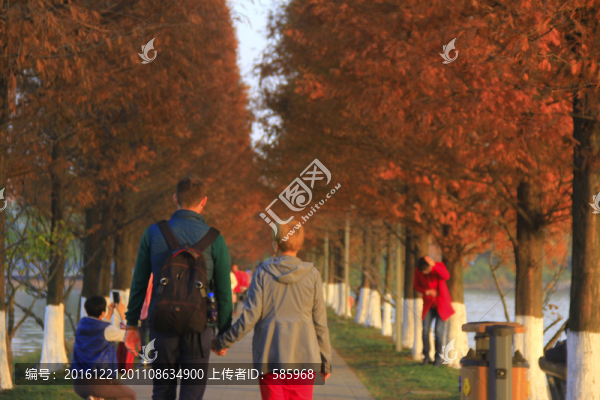 老外情侶牽手散步