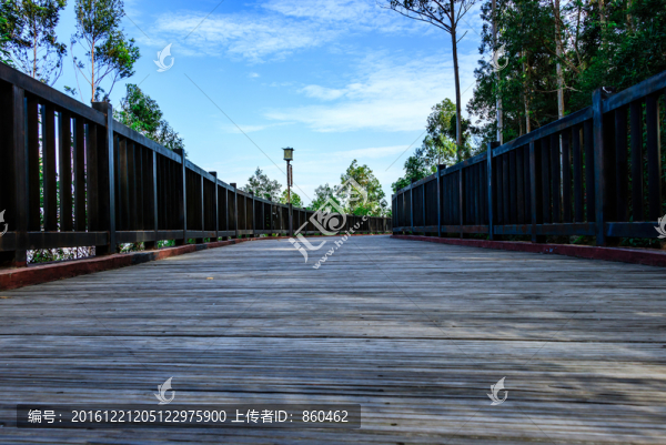 公園木棧道