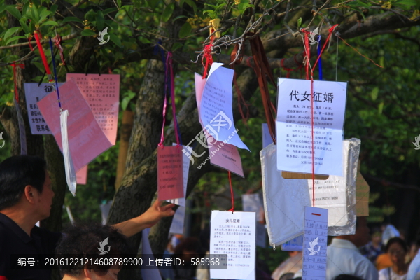 代女征婚代子征婚