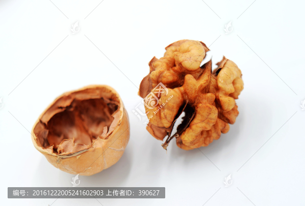 核桃