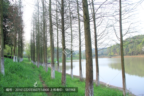 長沙園林生態(tài)園