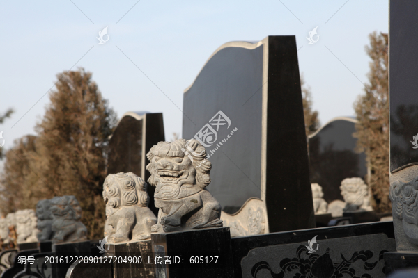 墓地墳地