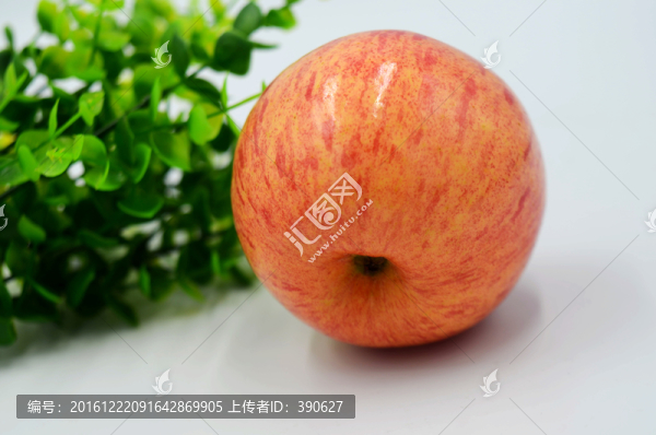 蘋果