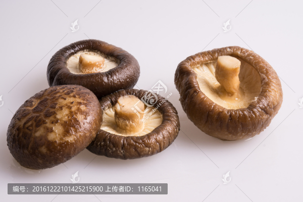 香菇
