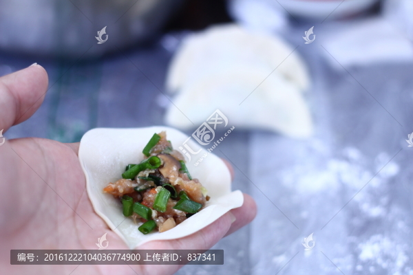 餃子制作