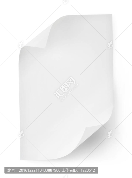 白皮書