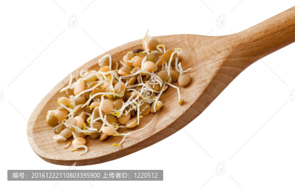 綠豆芽