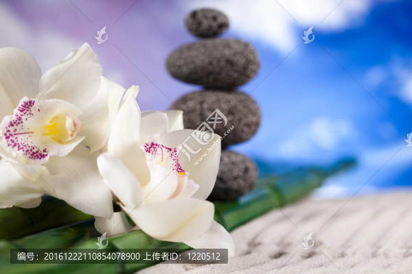 蘭花靜物石